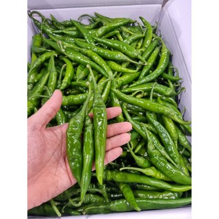 길룡이네 국산 대량 도매 청양고추, 1박스, 청양고추 (상) 2kg