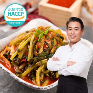 DALMOA [100% 국내산] 수제 열무김치 열무물김치 우리농산물 양념, 1개, 5kg