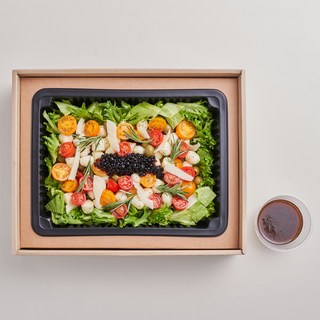 아펠가모 앳 홈 케이터링 박스 '보코치니 카프레제 샐러드' / M L사이즈 CE0600062301, M사이즈, 1개, 800g