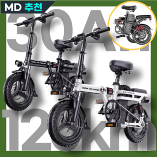 5. 피죤 전기자전거..