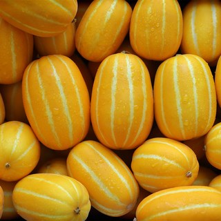 첫 출하 고당도 성주 참외 10kg (당일배송), 1개