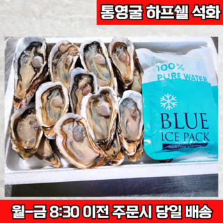산지직송 통영굴 하프쉘 석화 세척 손질 완료, 1박스, 26~32미 내외