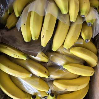 (입점기념 5000개 한정이벤트) 필리핀 직수 고당도 바나나 얼마나 맛있게요, 1박스, 3손(4.5kg내외)