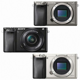 소니 알파 A6000