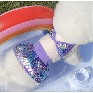 리치독스 강아지비키니 애견수영복 4종, 1세트, 인어비키니(바이올렛)