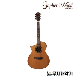 고퍼우드 GA바디 픽업 탑솔리드 왼손 Guitar i320RCE LH, 1개