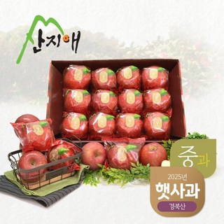 [2025년산] 산지애 씻어나온 햇사과 3kg 1box (중과), 1개