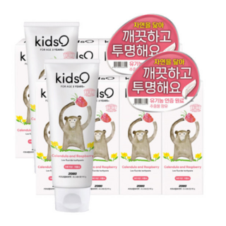 2080 키즈오 알파치약 라스베리향, 80g, 8개