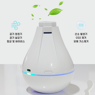 6. 리본에어 AS-..