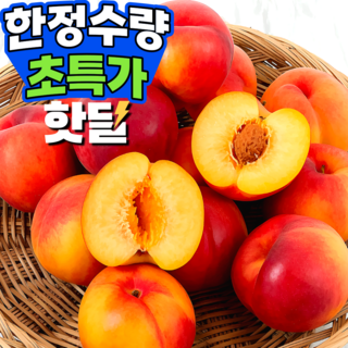 초고당도 천도복숭아 우량품종 최저가행사, 1박스, (최저가행사 구매1등) 혼합과 5kg