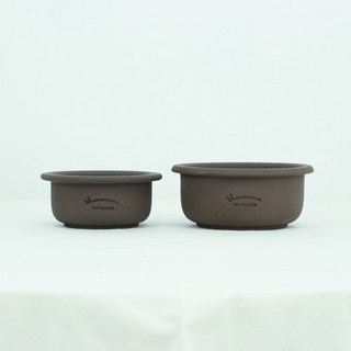 마이플랜트 로자리안 에보니 민트팟 (화분 단품), 1개