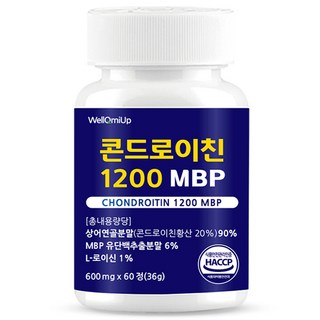 상어연골 콘드로이친1200 상어 콘트로이친 식약청인증 웰큐미업, 1개, 60정