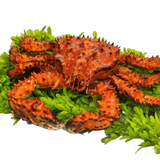러시아 자숙킹크랩 수율 90% 신선도 최상!, 1개, 2kg