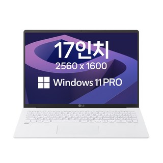 3. LG 그램17 ..