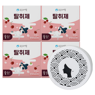 욕실의여왕 다목적 생활 탈취제 본품 블랙체리향, 230g, 4개