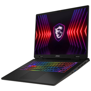 MSI Sword 17 HX B13VGKG-i9 윈도우11 QHD 인텔 i9 13980HX RTX 4070