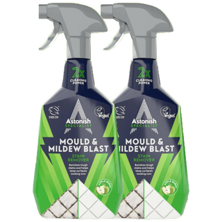 아스토니쉬 곰팡이제거제 스페셜리스트 영국본사생산정품, 2개, 750ml