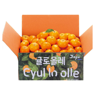 귤로올레 25년 제주직송 고당도 햇하우스감귤, 1박스, 하우스감귤4.5kg중대과