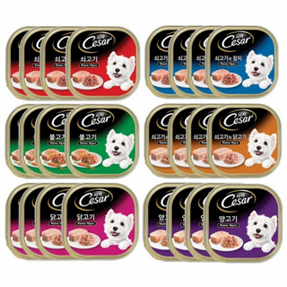 시저캔혼합 주식캔