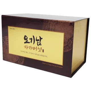 오기남 프리미엄 차가버섯추출분말 300g, 3개, 100g