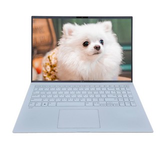 2025 LG그램 AI AMD 크라켄5 노트북