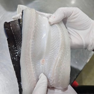 [자연산] 통영 손질 바다장어 3kg +[소스2종+초생강] (2~3미) 국내산 산지직송 장어구이 소금구이 장어양념구이, 1개, 통영 자연산 바다 장어 3kg