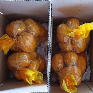 산지직송 당도선별 석군참외 성주참외 5kg 실중량, 성주참외 가정용 혼합과 5KG, 1박스