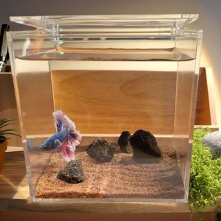 미니 아쿠아스케이프 아크릴 어항세트, 1세트, A옵션