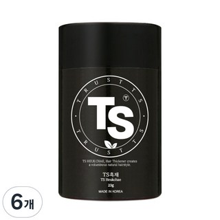 TS 흑채 23g, 흑갈색, 6개