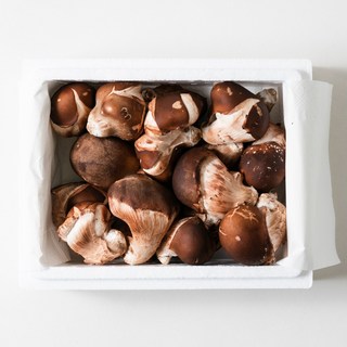 참송이버섯 가정용500g 1kg 2kg 4kg 건강한 밥상 향긋한 자연, 1박스