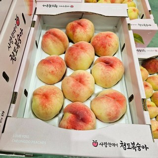 달콤한 청도 복숭아 산지직송 엄선된 품위, 1박스, 1.5kg(대과)