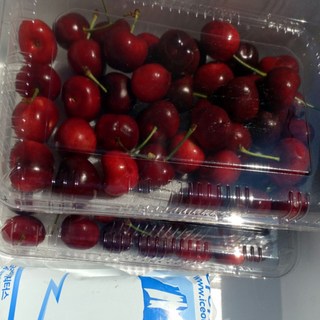 농장에서바로 프리미엄 생체리 9.5r 큰사이즈, 1개, 500g