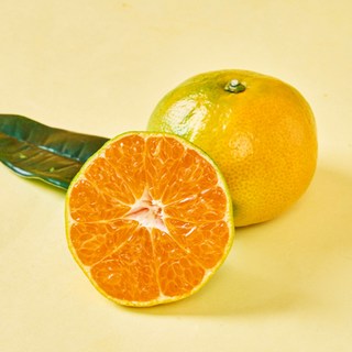 예성상회 제주 하우스감귤, 하우스감귤 대과, 1개, 하우스감귤 10KG 대과