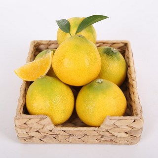 [산지직송] 제주 황금향 고당도 과즙가득 감귤, 1개, 혼합과 3kg 내외(7-20과)