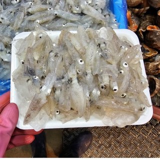 달일바리 국내산 횟감 생물 호래기 꼴뚜기, 1세트, 1kg
