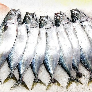 새우몰 국산 간고등어(소) 12마리 1%저염 제철 참고등어, 1.8kg내외(12미), 1개