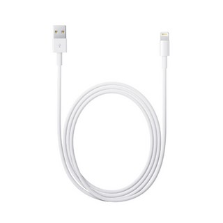 Apple 라이트닝 8핀 벌크 케이블 1m MD818FE/A, 1개