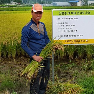 장현식품 햅쌀 백진주, 1개, 백진주10kg