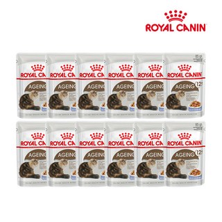 로얄캐닌 에이징 12세이상 젤리 파우치 85g 12개 습식