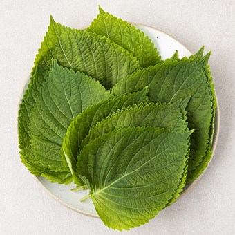 국내산 깻잎 상품 이미지