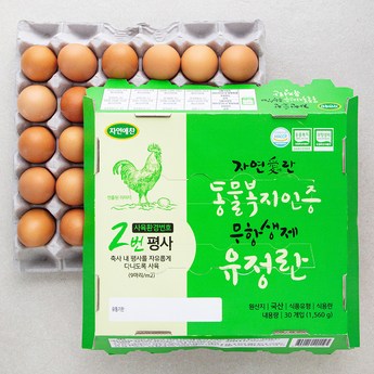 달걀1번-추천-상품