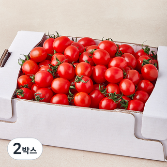 대추방울토마토2kg-추천-상품