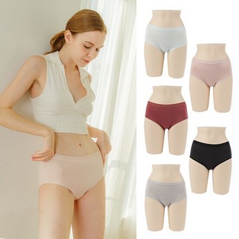 라페어인견팬티-추천-상품