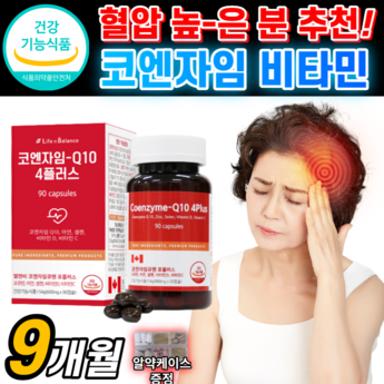 2024 최신 코동 추천 순위 BEST 7-추천-상품