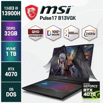 MSI Pulse 17 B13VGK-i9-추천-상품