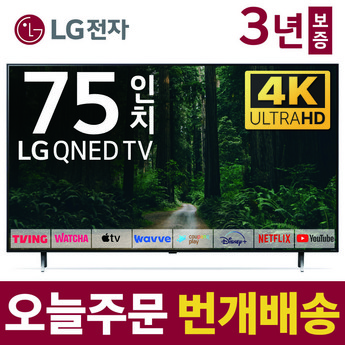 LG전자 QNED TV 75QNED80KRA 스텐드형 벽걸이형-추천-상품