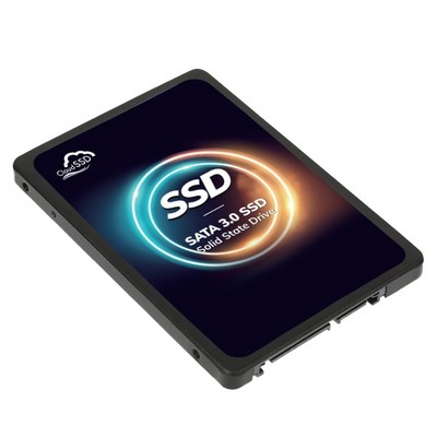  한창코퍼레이션 CLOUD SSD, 512GB 