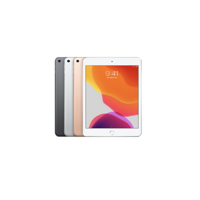 Apple iPad mini 5세대, 스페이스 그레이, 256GB, Wi-Fi