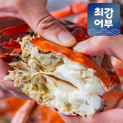 태안 신진도 활꽃게 산지직송 제철음식 가을꽃게 꽃개, 1박스, 1kg(3-5미)_신선한 꽃게로 만드는 맛있는 해물요리 레시피