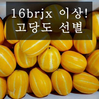 고당도 선별 성주 꿀참외, 실속 2kg, 소과 (10개 내)